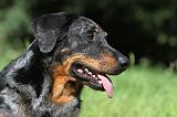 BEAUCERON 577